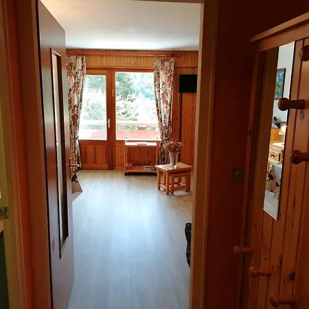 Fonctionnel 4 Pers Avec Balcon Sud, Parking, Animaux Admis - Fr-1-241-65 *