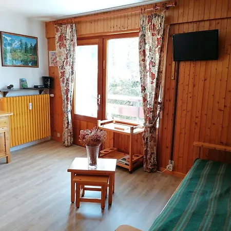 Fonctionnel 4 Pers Avec Balcon Sud, Parking, Animaux Admis - Fr-1-241-65