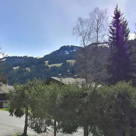 Fonctionnel 4 Pers Avec Balcon Sud, Parking, Animaux Admis - Fr-1-241-65 Apartment Le Grand-Bornand