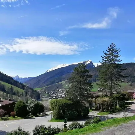Le Grand-bornand, 1 Pièce, 4 Personnes - Fr-1-241-65 Le Grand-Bornand